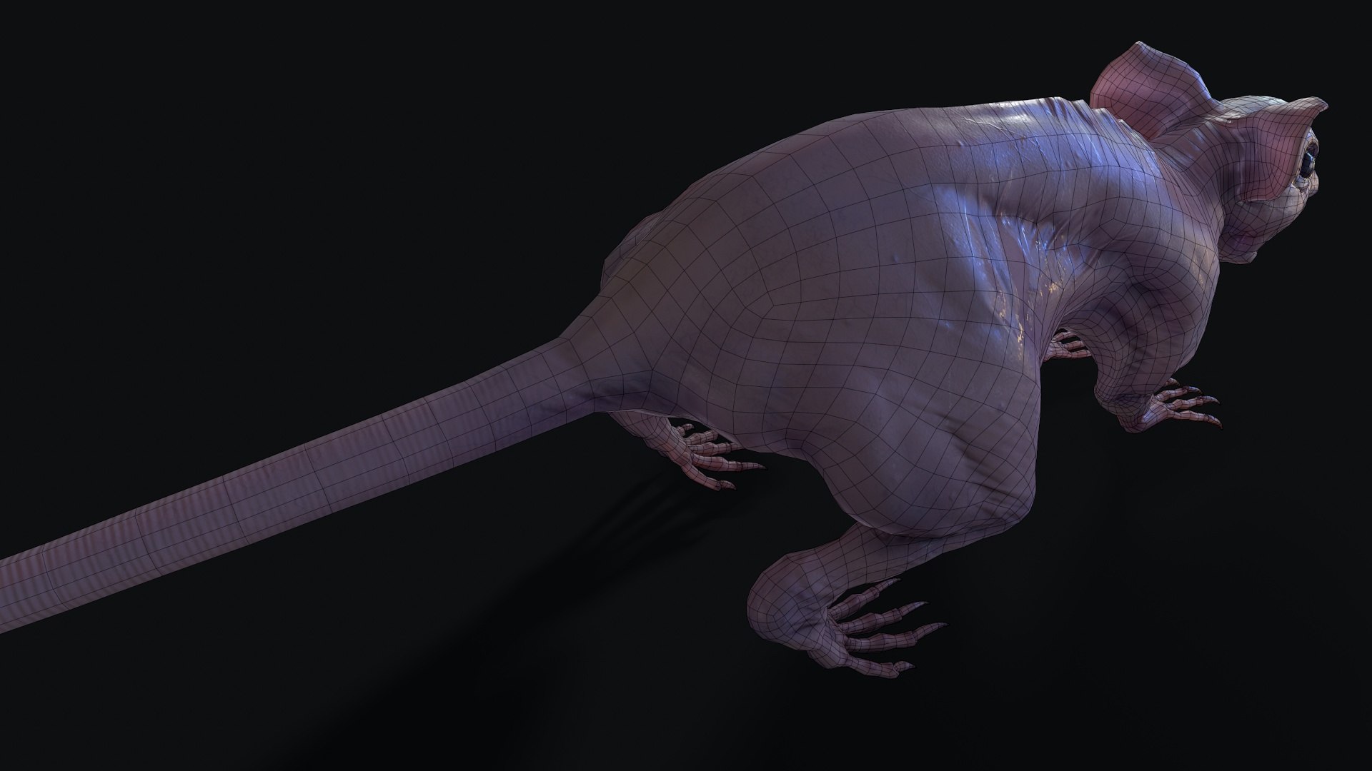 fanged mutant rat monster 3D https://p.turbosquid.com/ts-thumb/aQ/XnW6Q2/3Fhje0O9/fanged_mutant_rat_screen_26/jpg/1556486281/1920x1080/fit_q87/0716ec7b342f8b2dd04a4dee1500a7459dd09133/fanged_mutant_rat_screen_26.jpg
