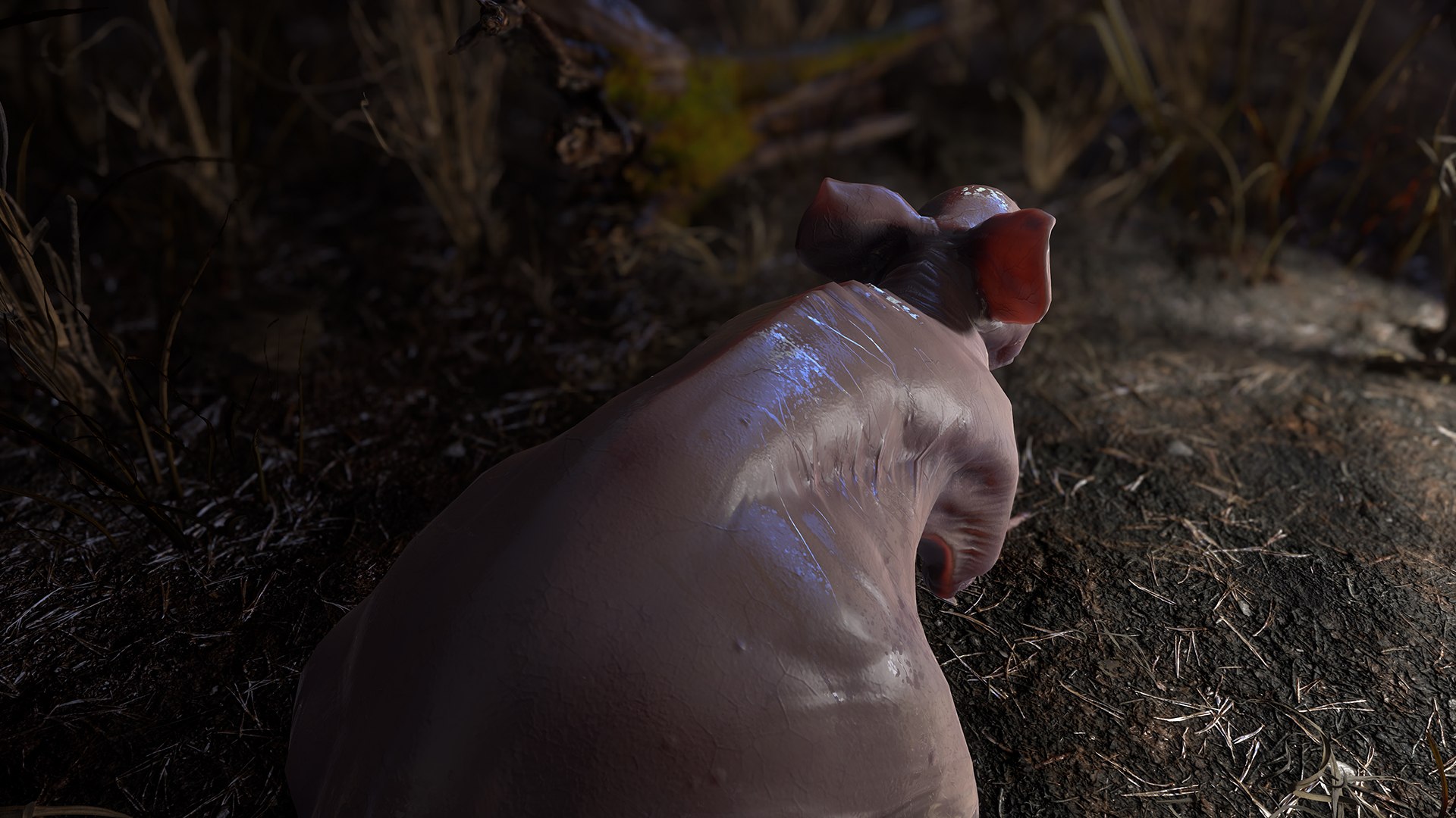 fanged mutant rat monster 3D https://p.turbosquid.com/ts-thumb/aQ/XnW6Q2/IMIf8wSE/fanged_mutant_rat_screen_13/jpg/1556486280/1920x1080/fit_q87/096fea7018b9fd67b3ea87c5ee54af43170144f0/fanged_mutant_rat_screen_13.jpg