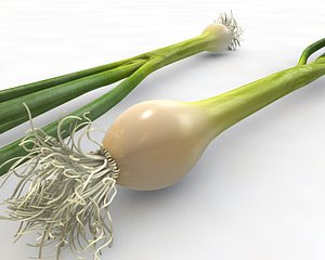 Green Onions
