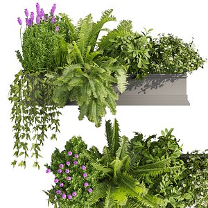 3D Collection plant vol 416 - Indoor - balcony - blender - 3dmax - cinema 4d model