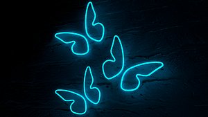 Butterfly neon 3D