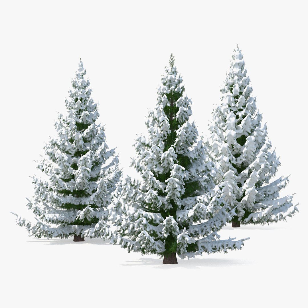 Spruce in Snow Collection 3D model preview