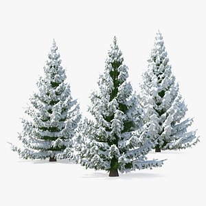 3D spruce snow tree