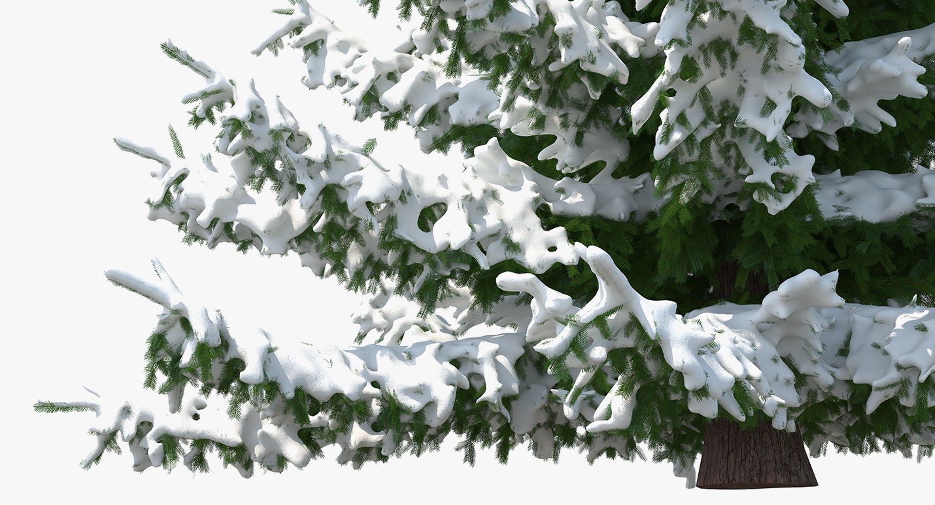 3D Spruce Snow Tree - TurboSquid 1438212