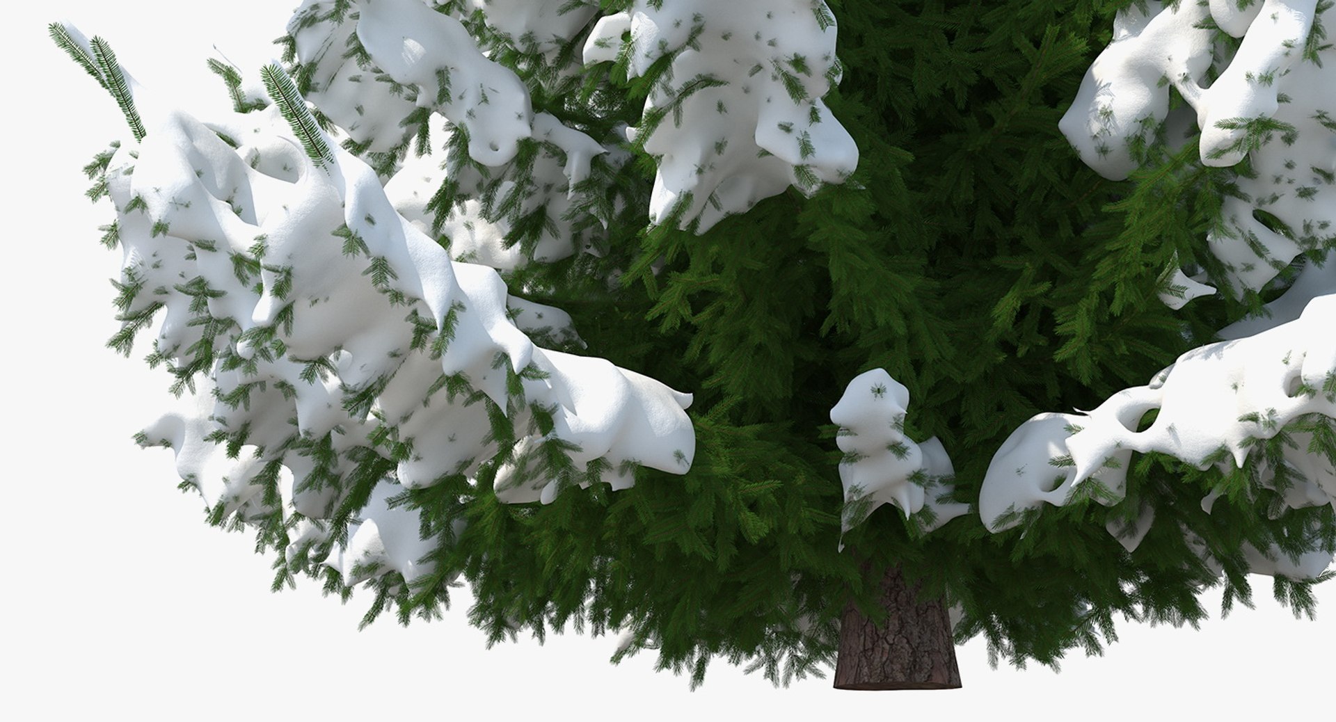3D Spruce Snow Tree - TurboSquid 1438212