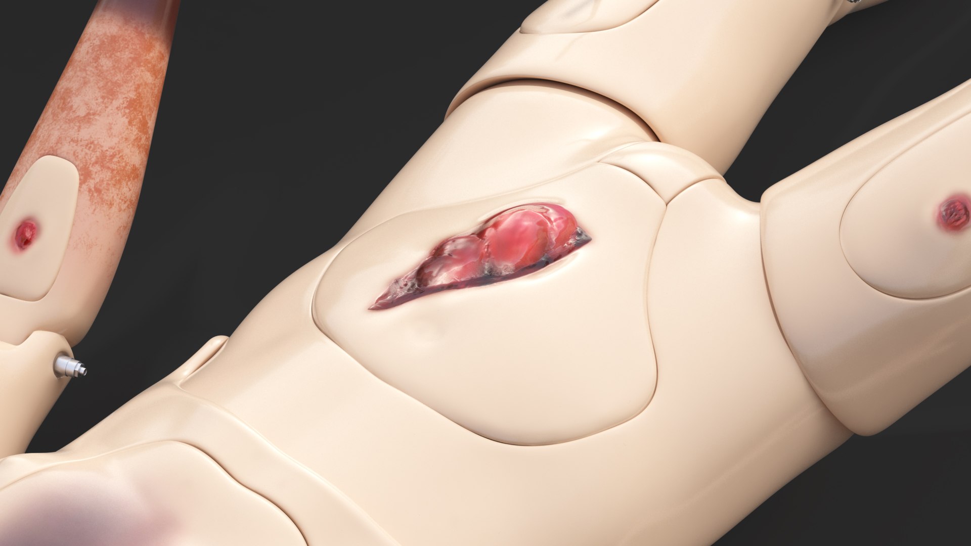 aid training manikins 2 3D model https://p.turbosquid.com/ts-thumb/aQ/s32dAT/7hcqIjxb/firstaidtrainingmanikinscollection2vray3dmodel019/jpg/1584603947/1920x1080/fit_q87/34b27c1f7ec63d19dd61f836ed1c38c6e5788412/firstaidtrainingmanikinscollection2vray3dmodel019.jpg
