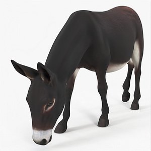 3D Farm Mammal Eating Dark Brown