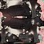 Farm Mammal Eating Dark Brown