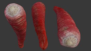 3D Red Carrot 3D Scan