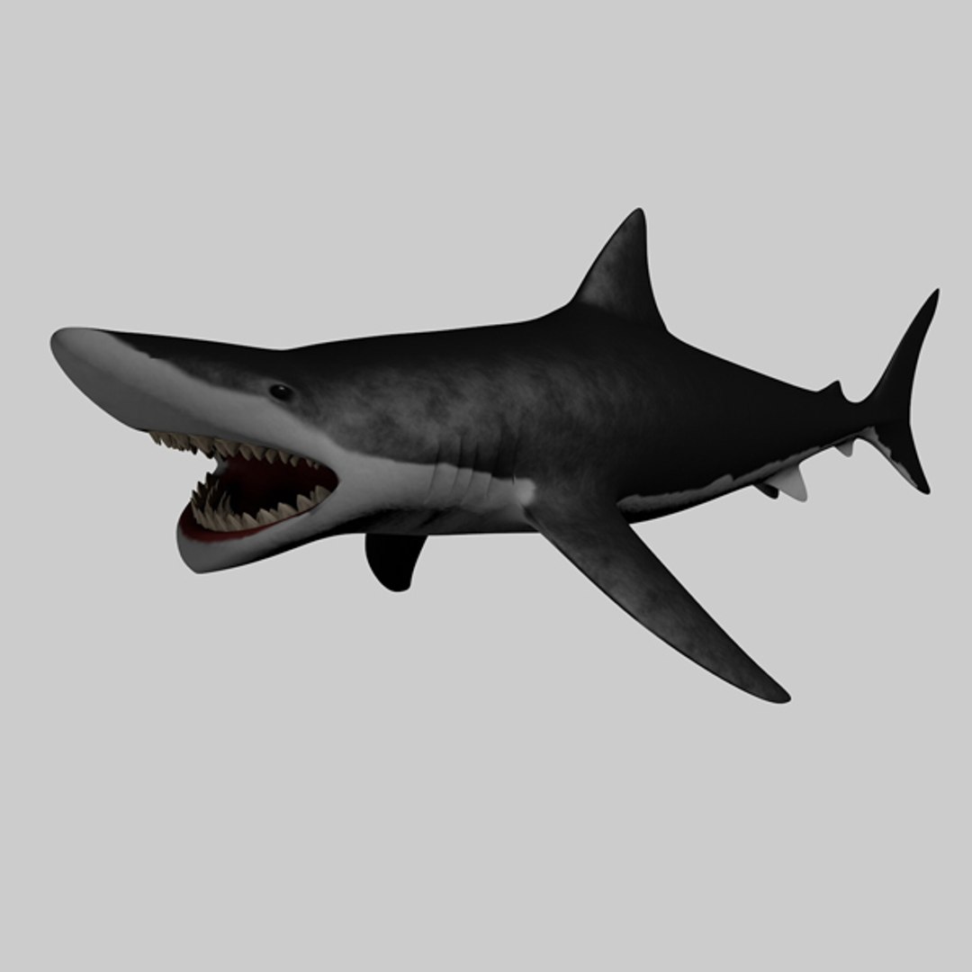 c4d giant shark megalodon