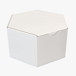 Hexagonal paper box packaging closed 01 corrugated cardboard white