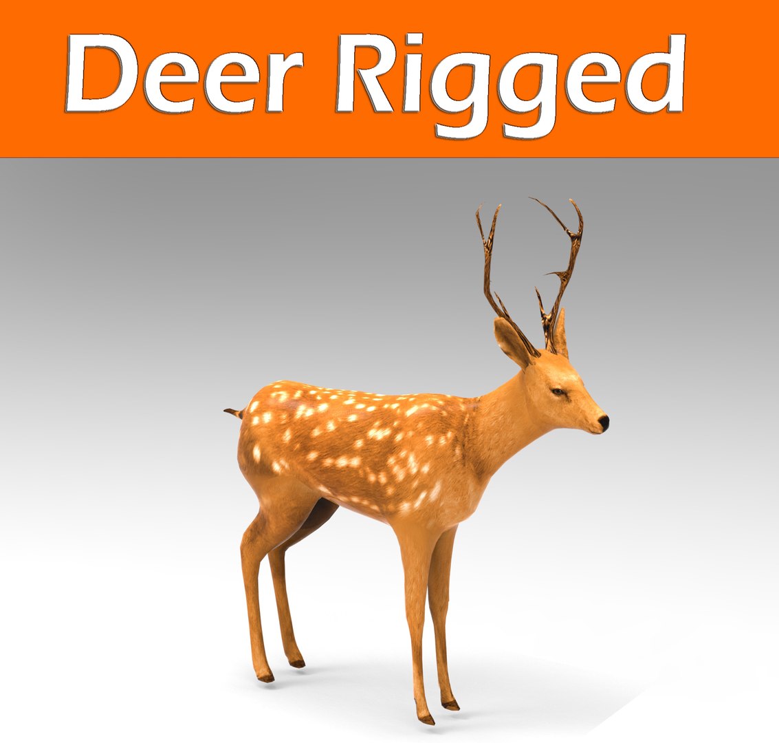 Deer Rigged 3d Model