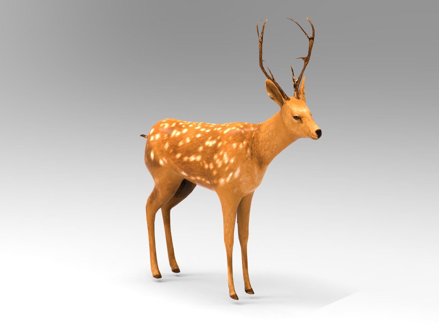 Deer Rigged 3d Model