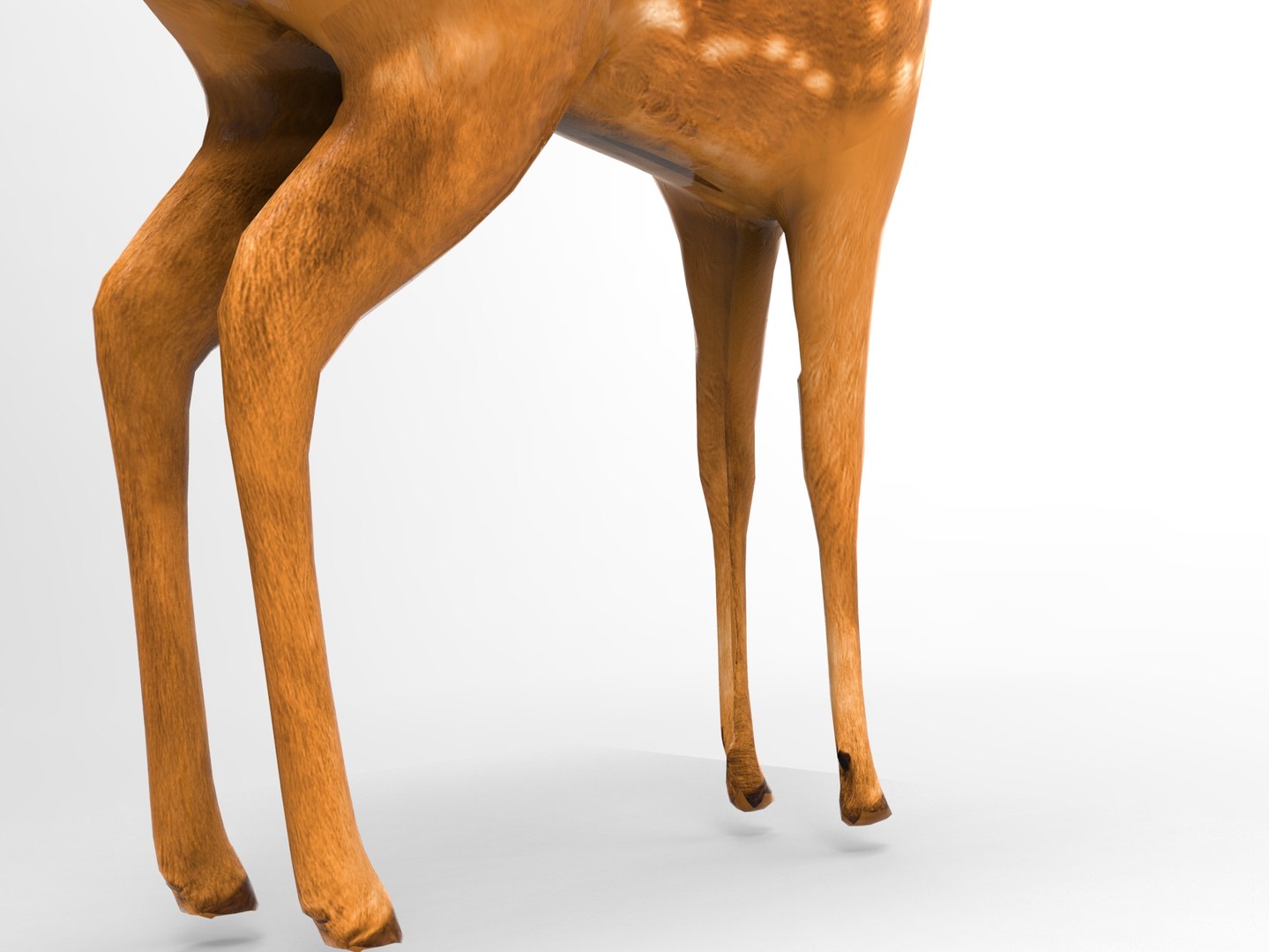 Deer Rigged 3d Model