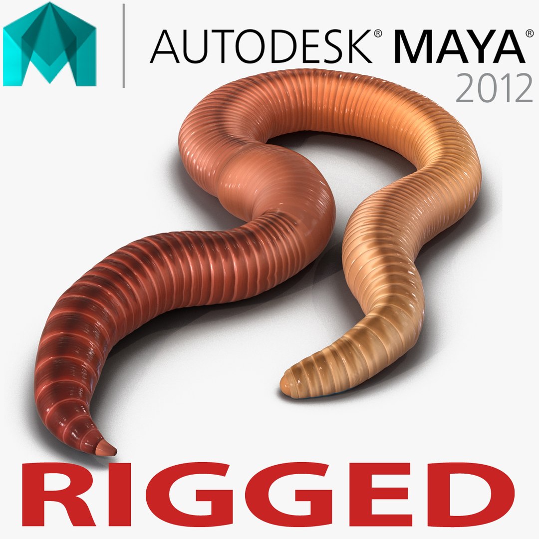 Earth Worm Rigged for Maya 3D model preview