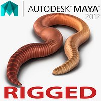 Earth Worm Rigged for Maya