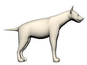 hyena model