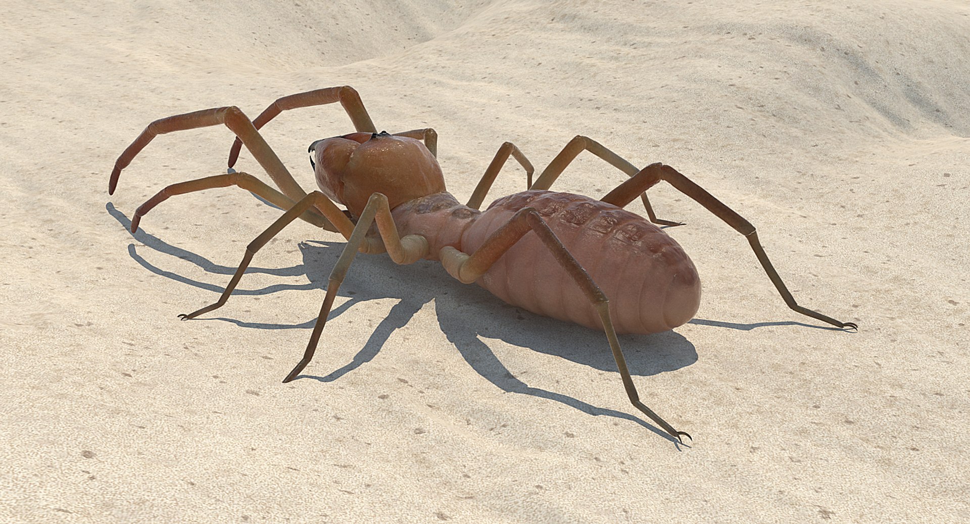 Rigged spiders 2 3D model - TurboSquid 1516749