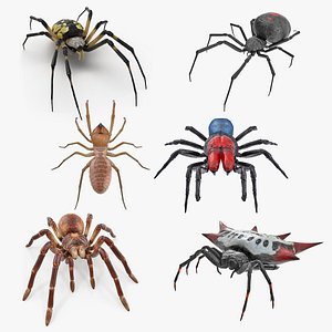 Rigged Spiders Collection 2 for Maya