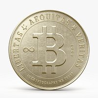 One Bitcoin