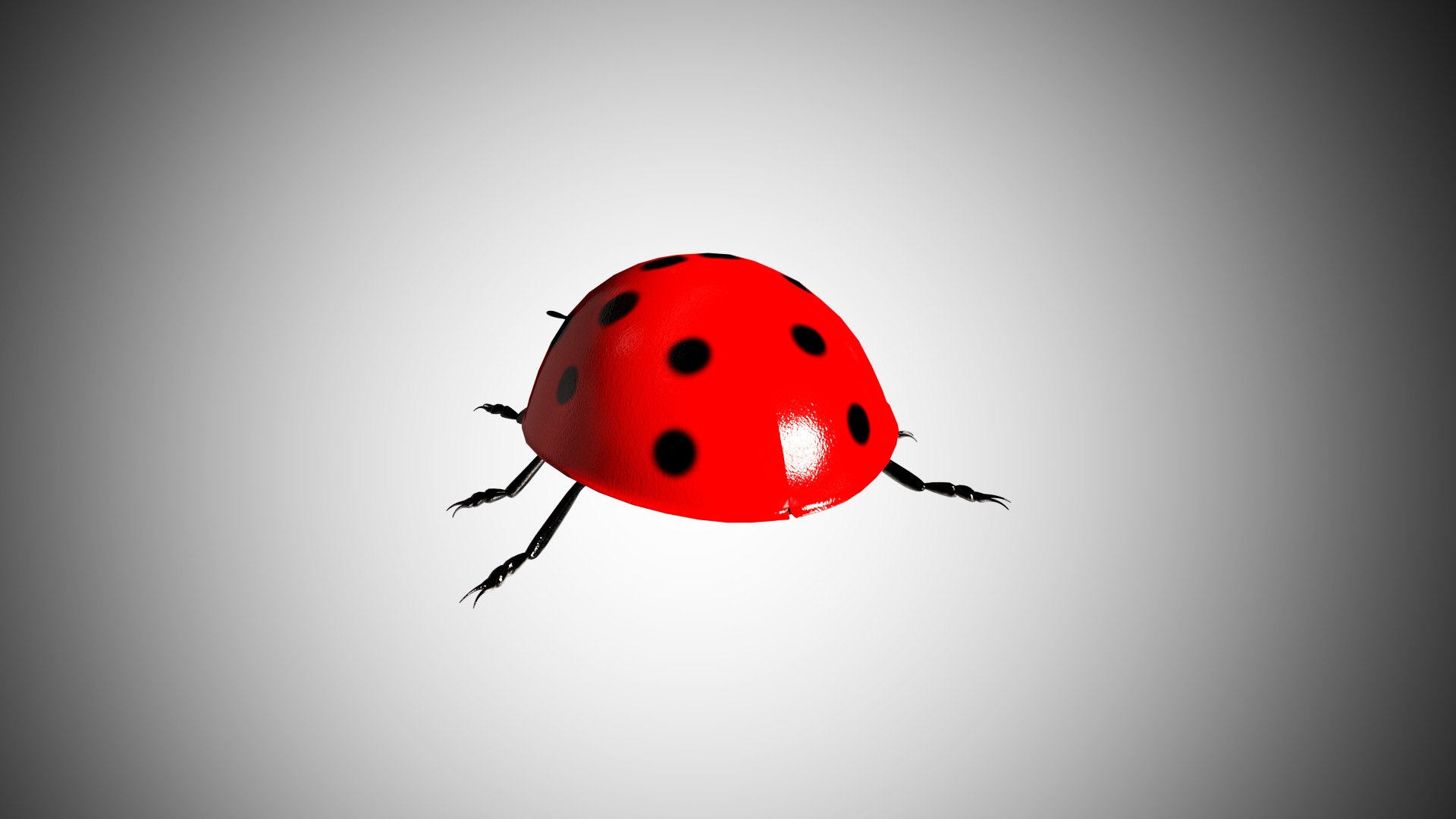 Ladybug Rigged 3D Model - TurboSquid 1588443