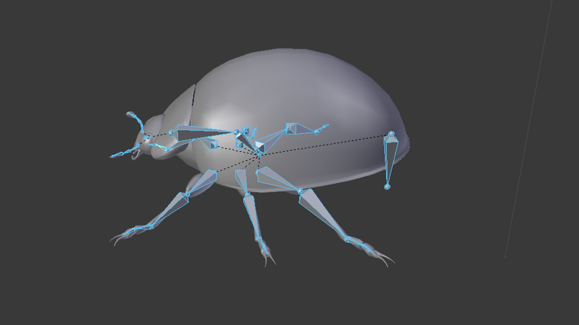 Ladybug Rigged 3D Model - TurboSquid 1588443