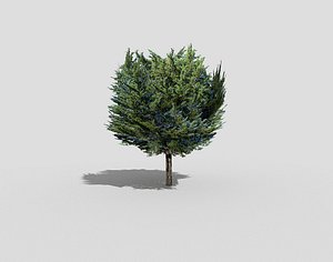 3d model tree landscape
