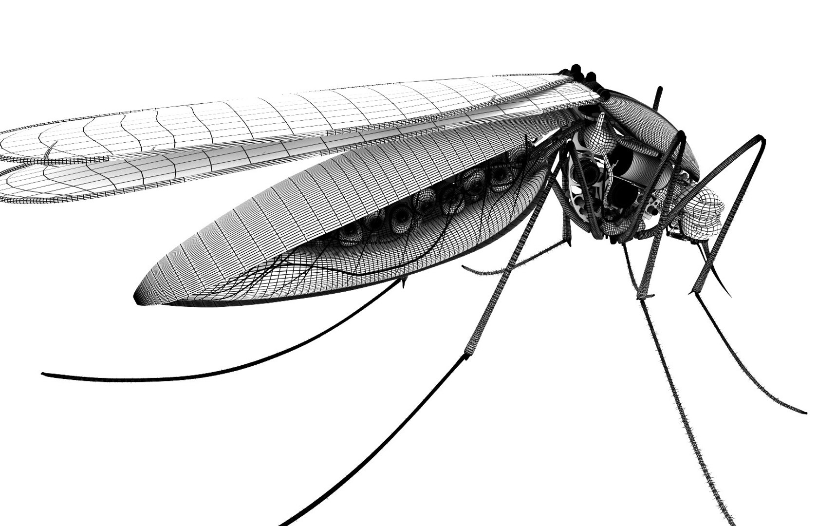 cyber mosquito robot bloodsucker 3D model https://p.turbosquid.com/ts-thumb/aR/eDHmAZ/67smMLen/greed/jpg/1492679462/1920x1080/fit_q87/db0ab21d57545cd19b0621857c4ed75586e32f37/greed.jpg