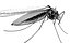 Mosquito robot chupasangre