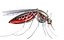 Mosquito robot chupasangre