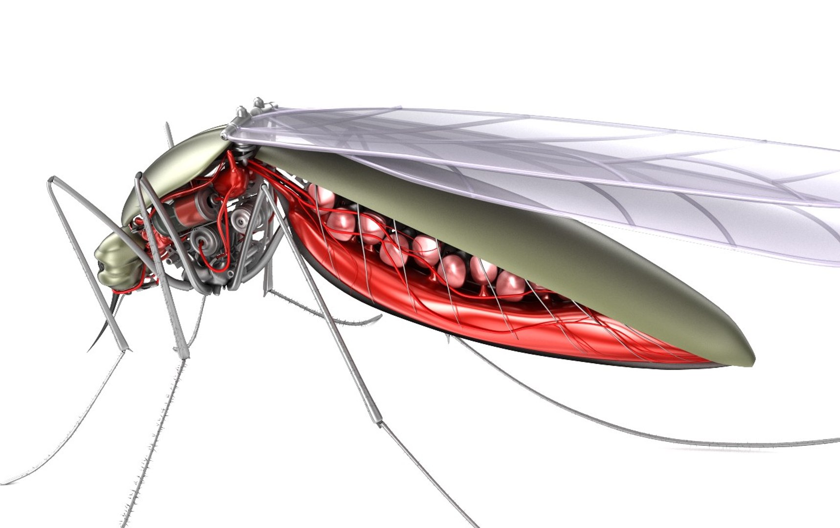 cyber mosquito robot bloodsucker 3D model https://p.turbosquid.com/ts-thumb/aR/eDHmAZ/MhgJlp9s/preview0004/jpg/1492679434/1920x1080/fit_q87/f47f58a6194dca2338c9b5aa7566f348e6843219/preview0004.jpg