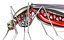 Mosquito robot chupasangre
