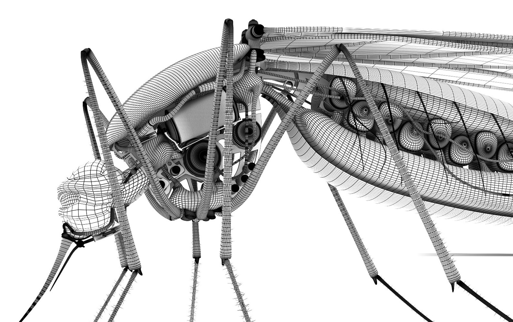 cyber mosquito robot bloodsucker 3D model https://p.turbosquid.com/ts-thumb/aR/eDHmAZ/eJJY9a9s/greed2/jpg/1492679463/1920x1080/fit_q87/9ea256db8316e2282697c832c65856ba508a3881/greed2.jpg