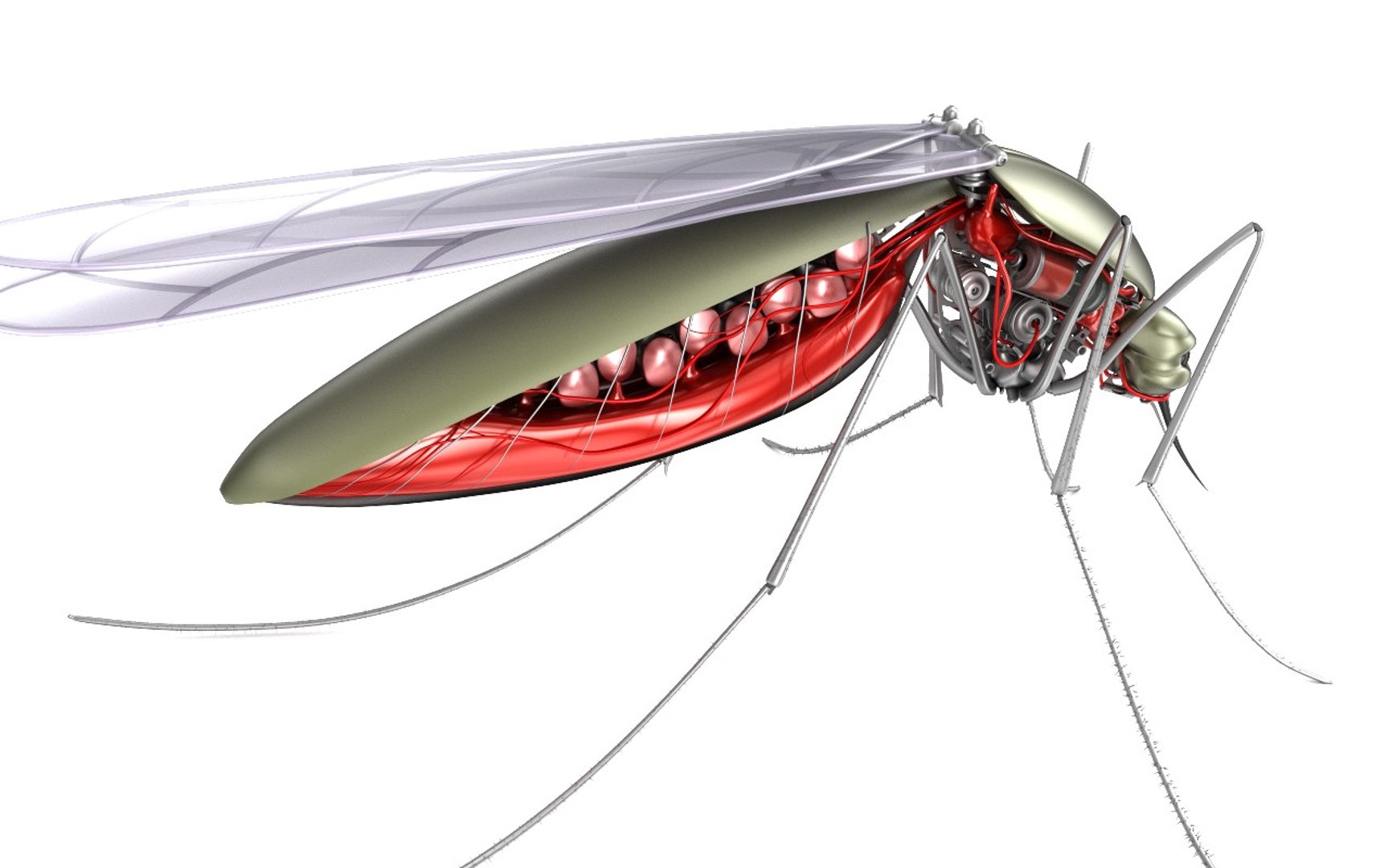 cyber mosquito robot bloodsucker 3D model https://p.turbosquid.com/ts-thumb/aR/eDHmAZ/xCBxKQzS/preview0008/jpg/1492679434/1920x1080/fit_q87/c6ec8d95877883f1b3eba38a4d20cf09232db743/preview0008.jpg