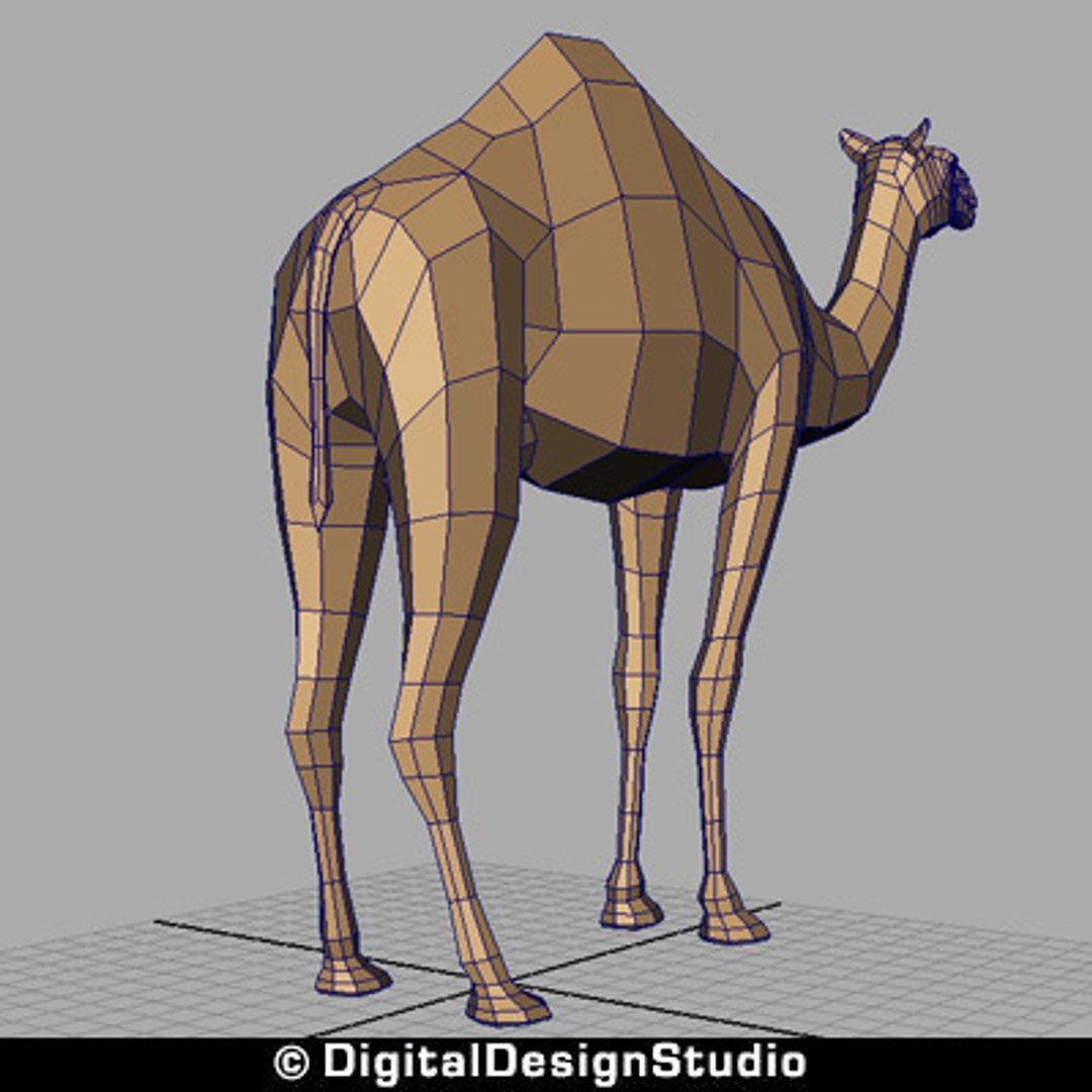 3ds max camel https://p.turbosquid.com/ts-thumb/aR/g7QA7Q/UQCKAaxo/tn6/jpg/1249726380/1920x1080/fit_q87/2fe0cf81b2303c893cad74526232efffacb3d0f2/tn6.jpg
