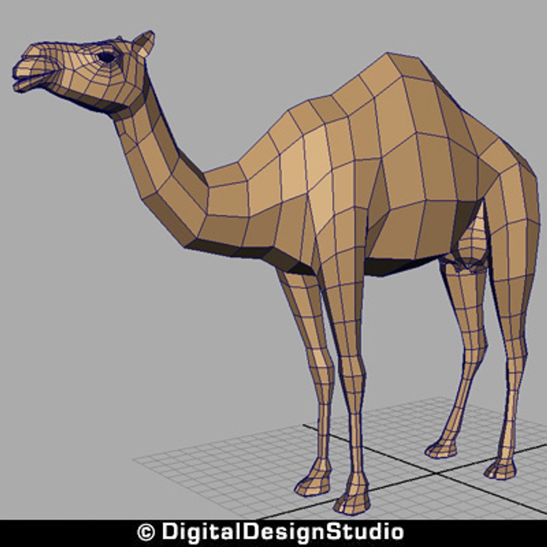 3ds max camel https://p.turbosquid.com/ts-thumb/aR/g7QA7Q/VmXd27cQ/tn3/jpg/1249726355/1920x1080/fit_q87/213005e213decf7f54d125c8522ceb86f9676141/tn3.jpg