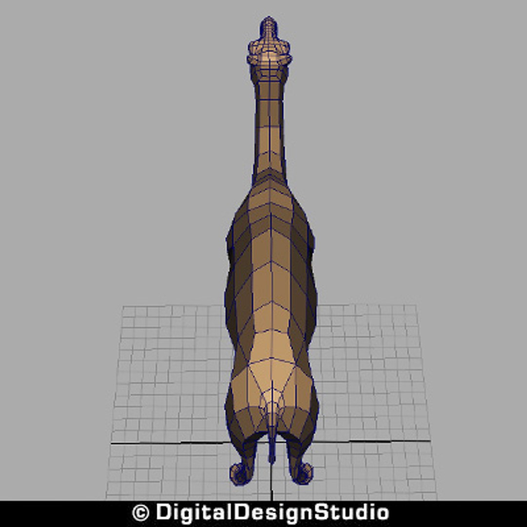 3ds max camel https://p.turbosquid.com/ts-thumb/aR/g7QA7Q/c4pstytu/tn7/jpg/1249726394/1920x1080/fit_q87/1f91a90ce3ec05941020630cb7fc39f84f8e2619/tn7.jpg