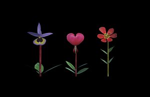 Low-poly Flower Collection