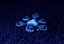 Hexagone Blu Drone