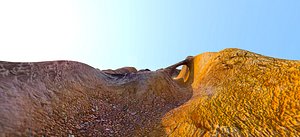 desert labirinth level 3d model