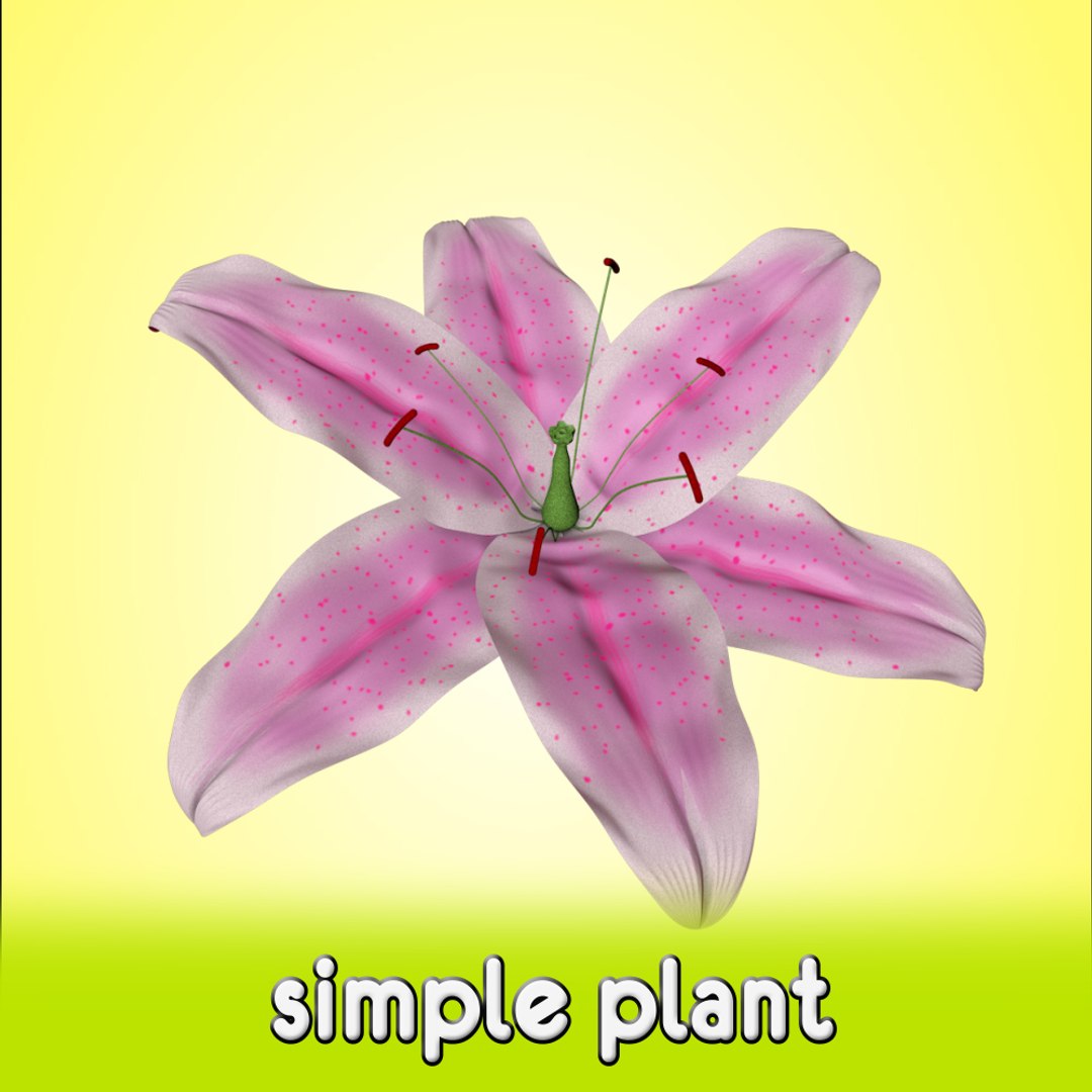 free flower 3d model https://p.turbosquid.com/ts-thumb/aS/5VoWIy/5qI62k7h/shot6/jpg/1356762186/1920x1080/fit_q87/1781e67384a432a0e76579359c88401b5a80f759/shot6.jpg