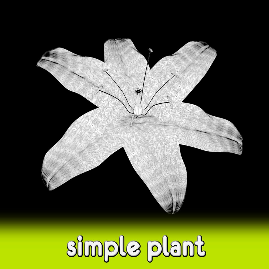 free flower 3d model https://p.turbosquid.com/ts-thumb/aS/5VoWIy/l4W90gU8/shot5/jpg/1356762152/1920x1080/fit_q87/dbc52401ddc79903139d91de13d11d9cbfb12165/shot5.jpg