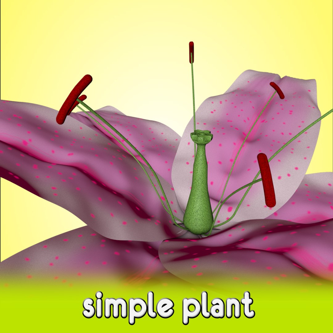free flower 3d model https://p.turbosquid.com/ts-thumb/aS/5VoWIy/nDRJrx8C/shot3/jpg/1356762140/1920x1080/fit_q87/0bcedb5a88254b857f1a501807682e8ca0e24287/shot3.jpg