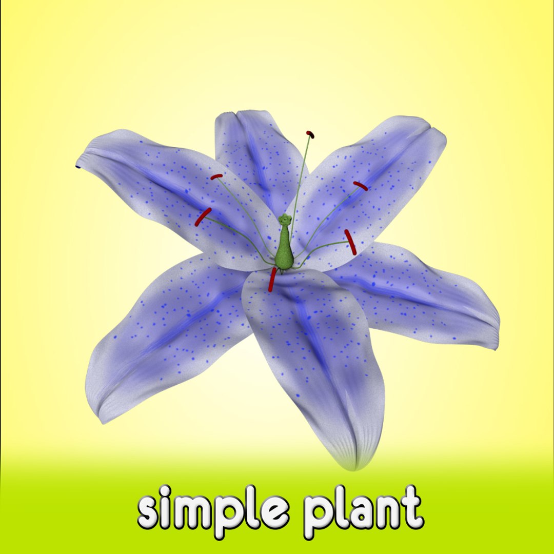 free flower 3d model https://p.turbosquid.com/ts-thumb/aS/5VoWIy/qhJRQSXr/shot7/jpg/1356762193/1920x1080/fit_q87/5073ebcd6836ceb529eb24c93d54f418e3ccaf9e/shot7.jpg