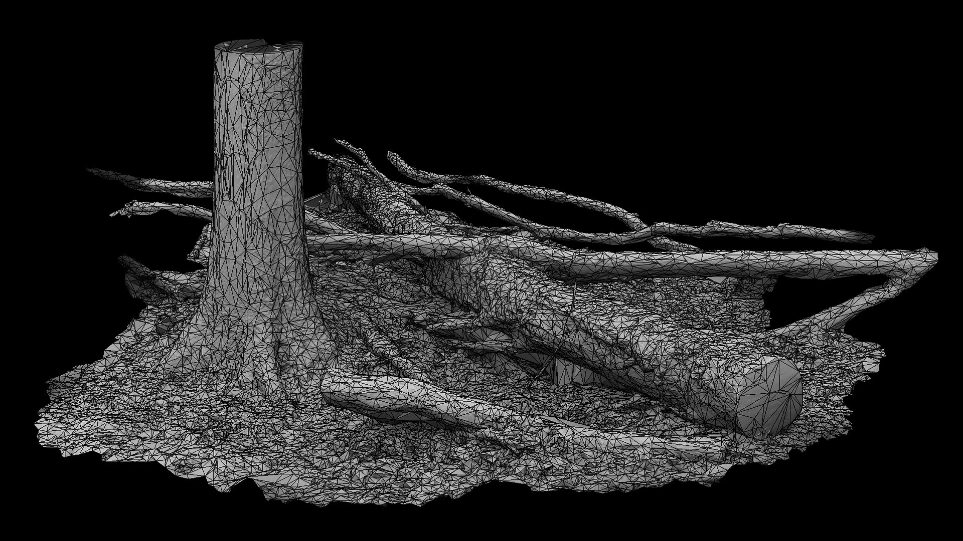 forest ground trees mossy trunks debris pt9 photogrammetry 3D model https://p.turbosquid.com/ts-thumb/aS/6ncHwT/yg/preview10/jpg/1740214488/1920x1080/fit_q87/320ed6d18539fd1e103861a4b374f901a3fe3857/preview10.jpg