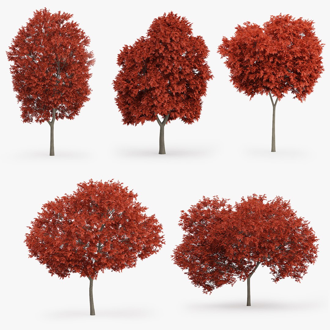 red maple trees 3d model https://p.turbosquid.com/ts-thumb/aS/9aip6k/6TUpDDZJ/cala_red/jpg/1438017765/1920x1080/fit_q87/f5c4ff16fbffd157be0d9d09b09f67c10a95ac02/cala_red.jpg