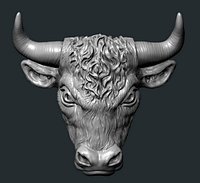 Bull Head