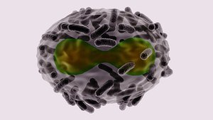 3D Monkeypox Virus smallpox model