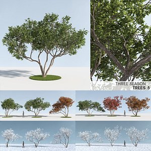 trees 5 3D model