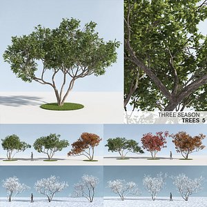 Three Season Trees 5 (+GrowFX)